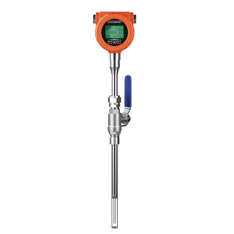 水蒸汽儀表品牌深度解析：品質(zhì)、技術(shù)與服務(wù)的較量